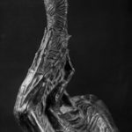 Birth of Thought