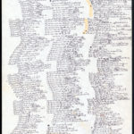 Multimating the Words Cheat & Scum